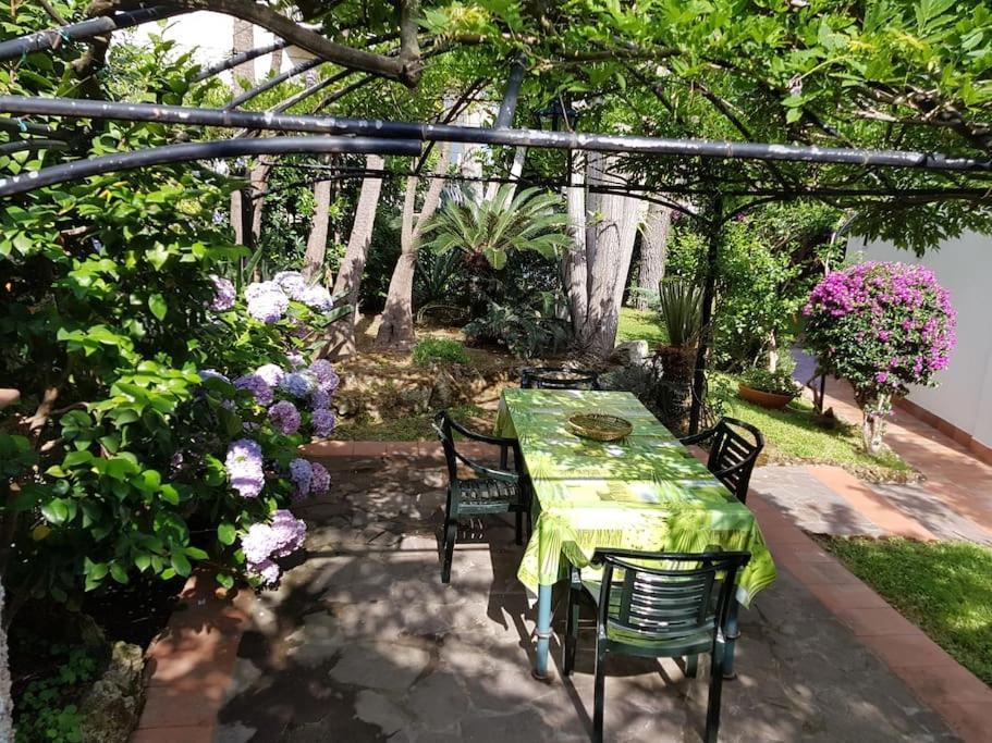 Giardino Mediterraneo Лакко-Амено Экстерьер фото