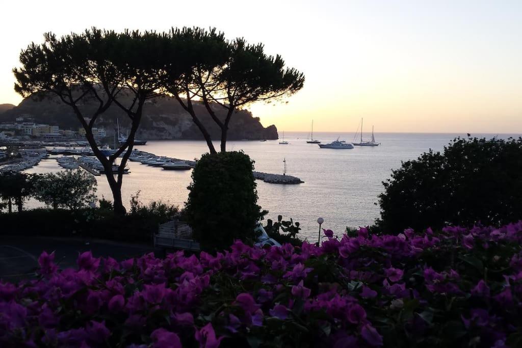 Giardino Mediterraneo Лакко-Амено Экстерьер фото