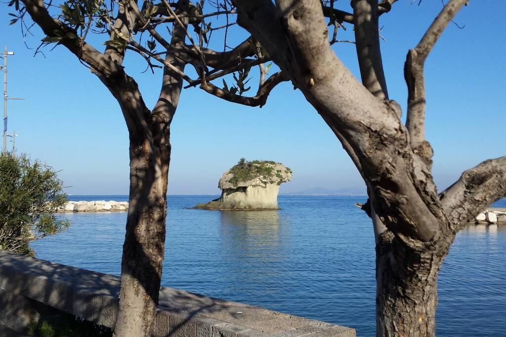 Giardino Mediterraneo Лакко-Амено Экстерьер фото