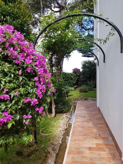 Giardino Mediterraneo Лакко-Амено Экстерьер фото